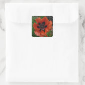 Oosterse papaver vierkante sticker (Tas)