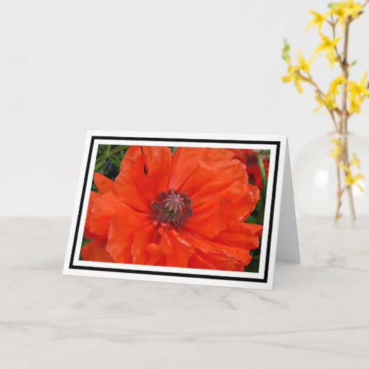 Oosterse Poppy Groeten Kaart (Gele Bloem)