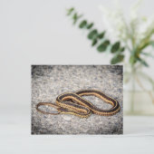 Oosterse ribbenslang (Garter Snake) Briefkaart (Staand voorkant)