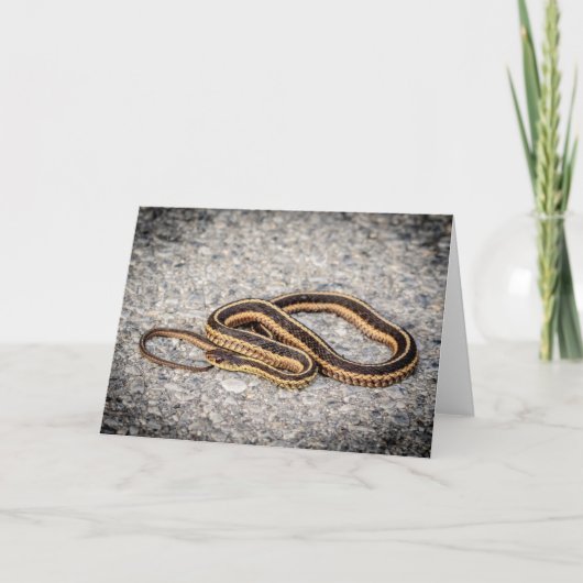 Oosterse ribbenslang (Garter Snake) Feestdagen Kaart (Voorkant)