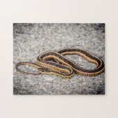 Oosterse ribbenslang (Garter Snake) Legpuzzel (Horizontaal)