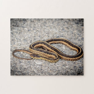 Oosterse ribbenslang (Garter Snake) Legpuzzel