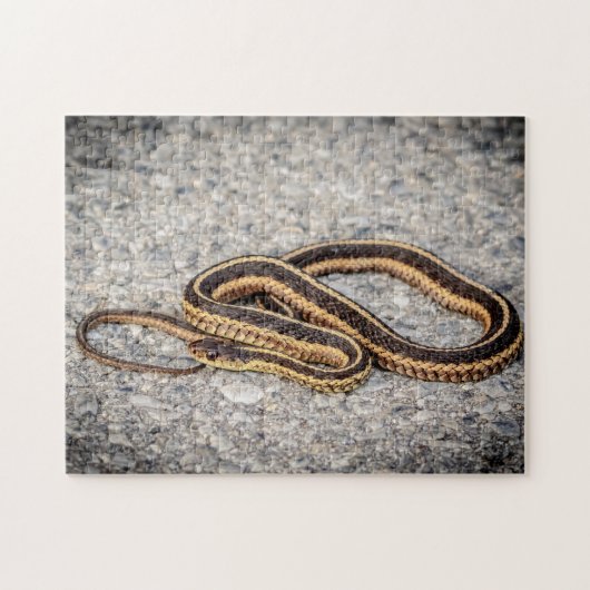 Oosterse ribbenslang (Garter Snake) Legpuzzel (Horizontaal)