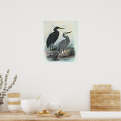Oosterse rif Egret en witte haron Poster (Keuken)