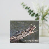 Oosterse schildpad briefkaart (Staand voorkant)