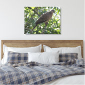 Oosterse schildpad duif op een abrikozenboom foto canvas afdruk (Insitu (Slaapkamer))