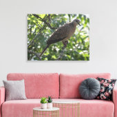 Oosterse schildpad duif op een abrikozenboom foto canvas afdruk (Insitu (Woonkamer))