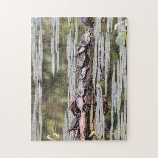 Oosterse schildpad legpuzzel (Verticaal)