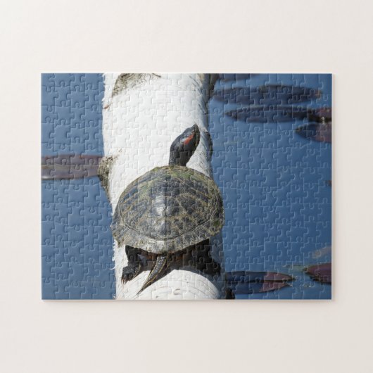 Oosterse schildpad op Birch Legpuzzel (Horizontaal)