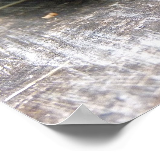 Oosterse schildpad poster (Hoek)