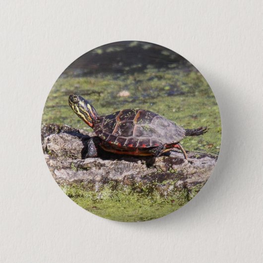 Oosterse schildpad ronde button 5,7 cm (Voorkant)