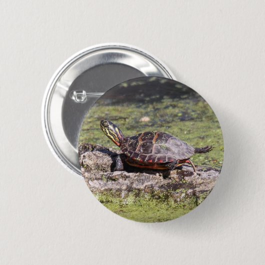 Oosterse schildpad ronde button 5,7 cm (Voorkant /achterkant)