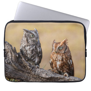 Oosterse schroevendraaide Ow Roosting in Tree Laptop Sleeve
