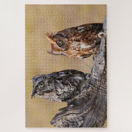 Oosterse schroevendraaide Ow Roosting in Tree Legpuzzel (Verticaal)