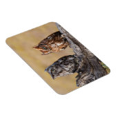 Oosterse schroevendraaide Ow Roosting in Tree Magneet (Rechterzijde)