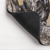 Oosterse schroevendraaide Ow Roosting in Tree Muismat (Hoek)