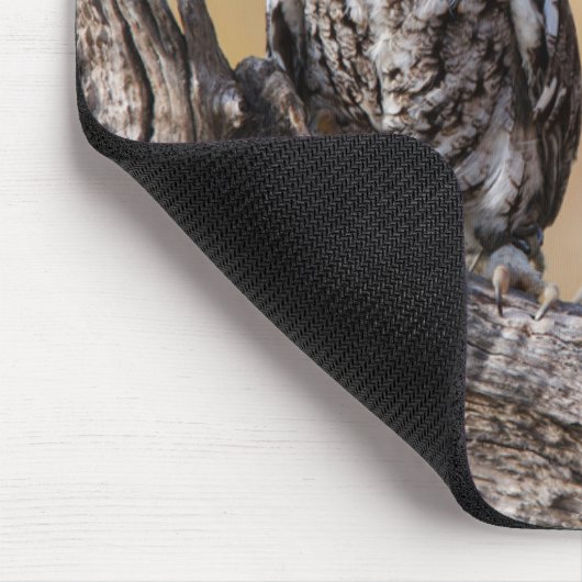 Oosterse schroevendraaide Ow Roosting in Tree Muismat (Hoek)