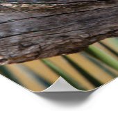 Oosterse schroevendraaide Ow Roosting in Tree Poster (Hoek)