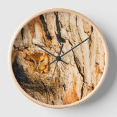 Oosterse schroevendraaier (Voorkant)