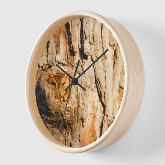 Oosterse schroevendraaier (Hoek)