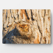 Oosterse schroevendraaier fotoplaat (voorkant)