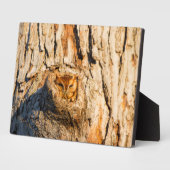 Oosterse schroevendraaier fotoplaat (Zijkant)