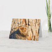 Oosterse schroevendraaier kaart (Voorkant)