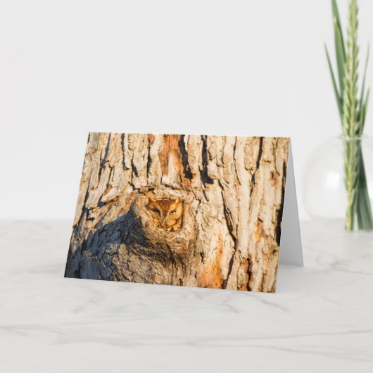 Oosterse schroevendraaier kaart (Voorkant)