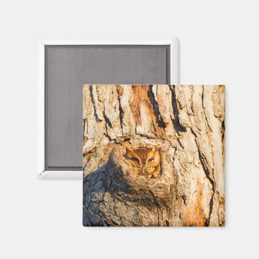 Oosterse schroevendraaier magneet (Voorkant / Achterkant)