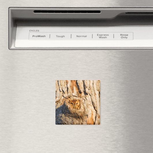 Oosterse schroevendraaier magneet (Insitu (Vaatwasser))