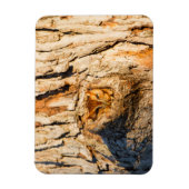 Oosterse schroevendraaier magneet (Verticaal)