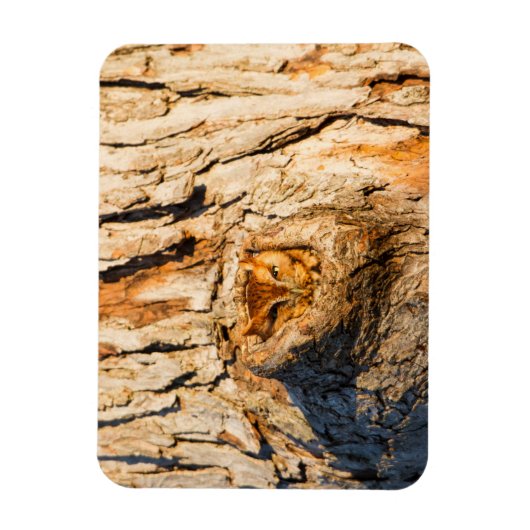 Oosterse schroevendraaier magneet (Verticaal)