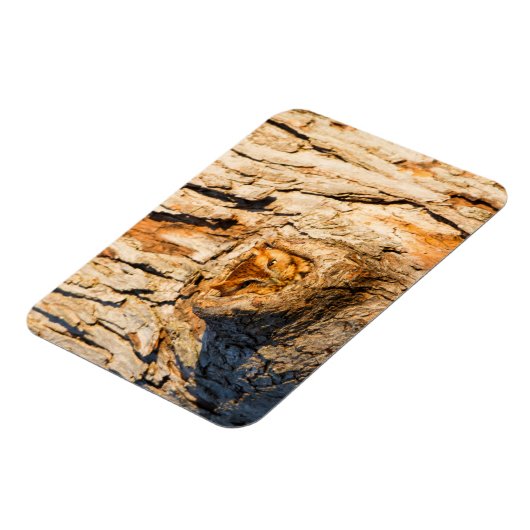 Oosterse schroevendraaier magneet (Linkerzijde)