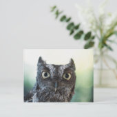 Oosterse schroevendraaier met grote ogen briefkaart (Staand voorkant)
