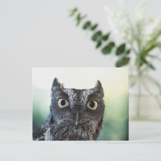 Oosterse schroevendraaier met grote ogen briefkaart (Staand voorkant)