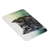 Oosterse schroevendraaier met grote ogen magneet (Rechterzijde)