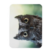 Oosterse schroevendraaier met grote ogen magneet (Verticaal)