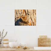 Oosterse schroevendraaier poster (Keuken)