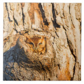 Oosterse schroevendraaier tegeltje (Voorkant)