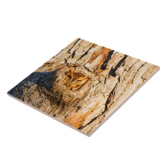 Oosterse schroevendraaier tegeltje (Zijkant)