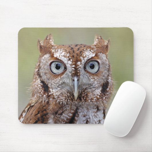 Oosterse schroevendraaifoto muismat (Met muis)