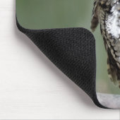 Oosterse Screech Uil, Uil, Zittend Muismat (Hoek)