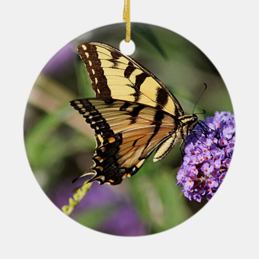 Oosterse tijger-slipvlinder keramisch ornament (Achterkant)