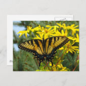 Oosterse tijgerdoorn op gele dagen briefkaart (Voorkant / Achterkant)