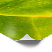 Oosterse tijgermoerasmantel perfect poster (Hoek)