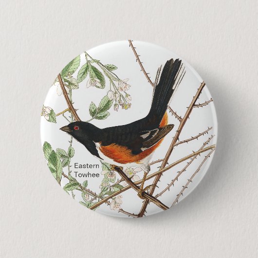 Oosterse Towee, Audubon, Roodgeookte Birdwatcher B Ronde Button 5,7 Cm (Voorkant)
