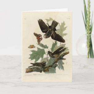 Oosterse Whip-poor-will, Audubon's Birds of Americ Kaart