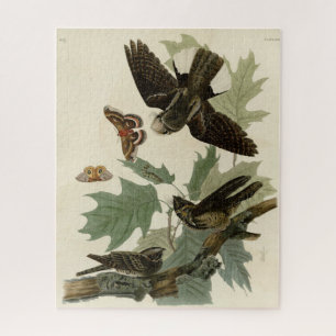 Oosterse Whip-poor-will, Audubon's Birds of Americ Legpuzzel