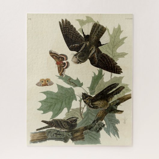 Oosterse Whip-poor-will, Audubon's Birds of Americ Legpuzzel (Verticaal)