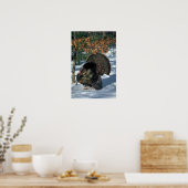 Oosterse wilde kalkoen, enorme gobbler in volle kr poster (Keuken)
